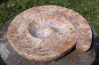 Dekoschale "Schnecke"